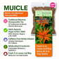 Muicle Herbal Tea (Mexican Honeysuckle) - 4 oz Loose Leaf - 100% Natural  Wildcrafted  Vegan  Non-GMO  Gluten-Free  Caffeine-Free - Authentic Mexican Herbal Infusion - by BexpertsUSA