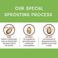 Lark Ellen Farm Sprouted Organic Certifed Cashews Unsalted - 10 Oz Bag, Non Gmo, Keto Snacks, Paleo, Gluten Free, Vegan, Organic