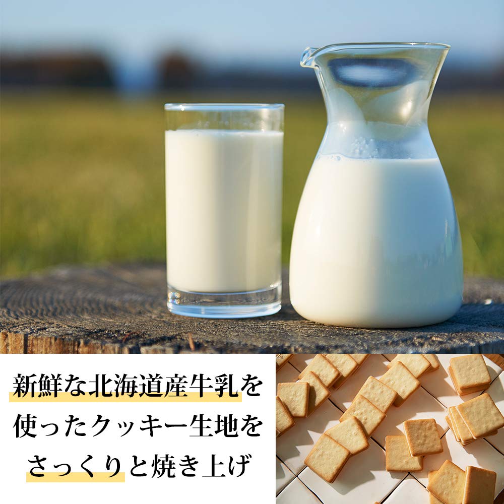 Honey & Gorgonzola Cookies 10Pieces -Japan Import-