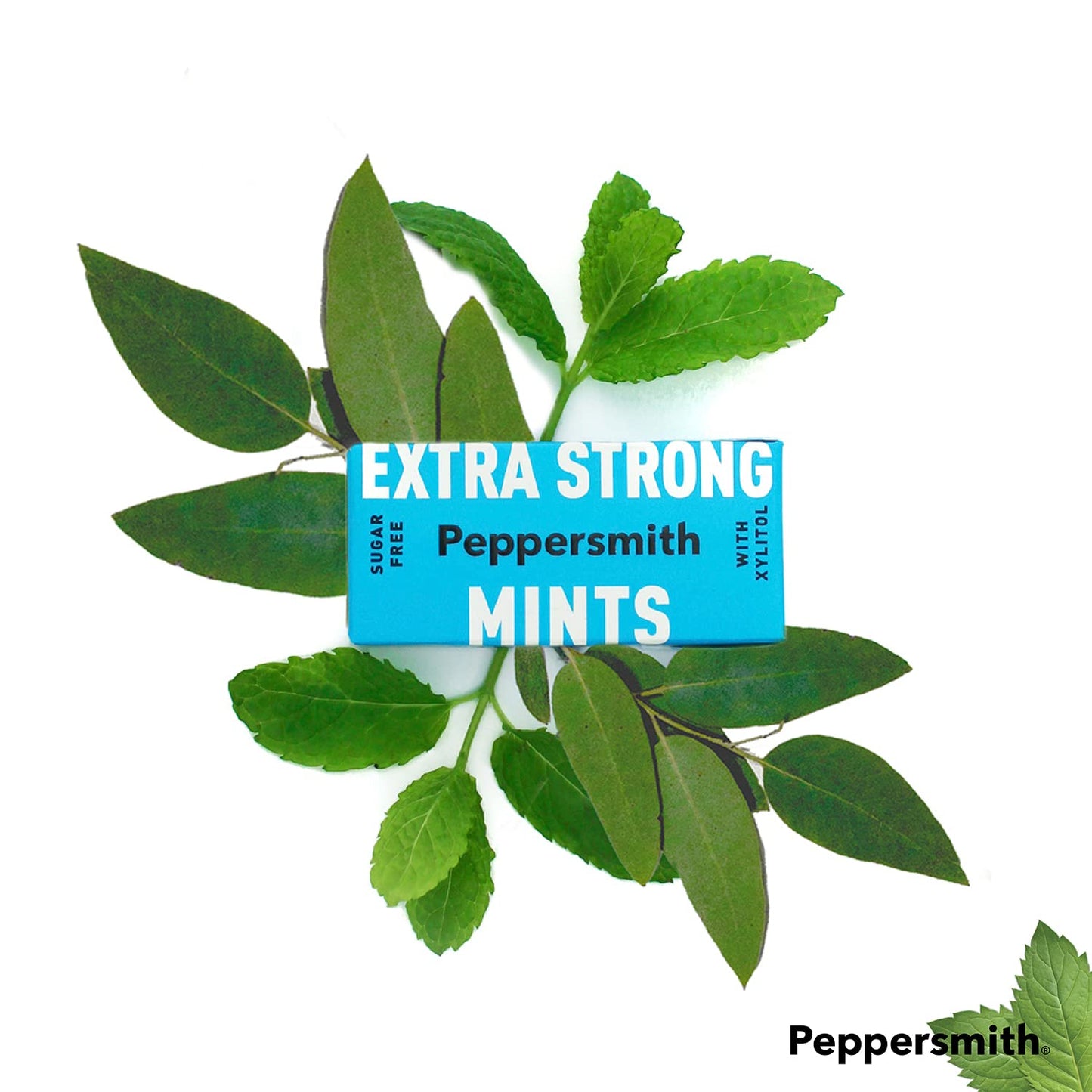 Peppersmith 100% Xylitol Mints, Eucalyptus and Fine English Peppermint, 15 g (Box of 12, Total 300 Mints)
