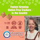Better with Buckwheat Rosemary & Herbs Gluten-Free Crackers - Healthy Snack Crackers, Grain-Free, Non-GMO, Sugar-Free - 1 Pack