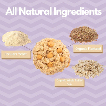 MilkBliss Lactation Cookies Mix, Oatmeal Peanut Butter Chip, 15oz, Breastfeeding Support