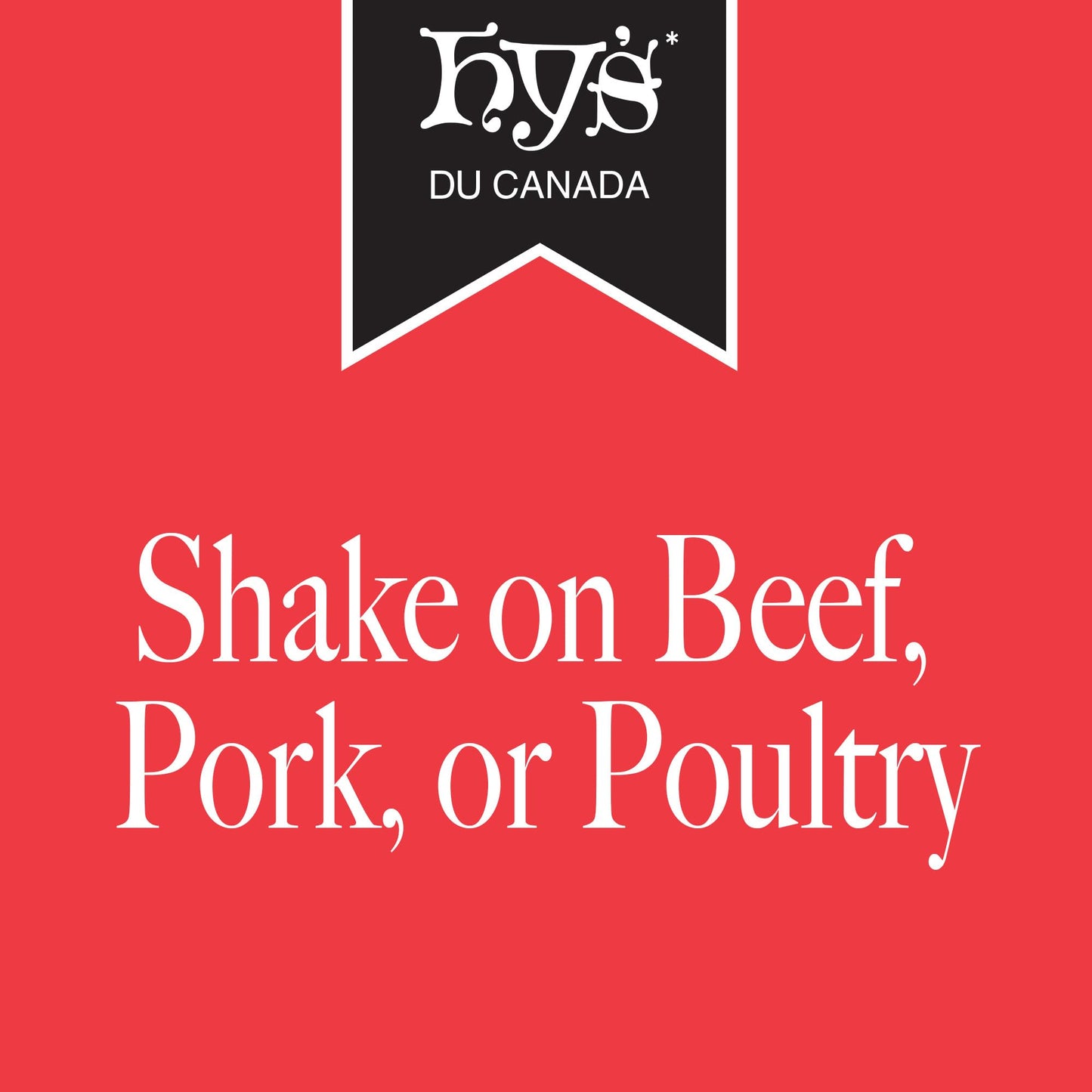 Hys Seasoning Salt - 450 gram {Imported from Canada}