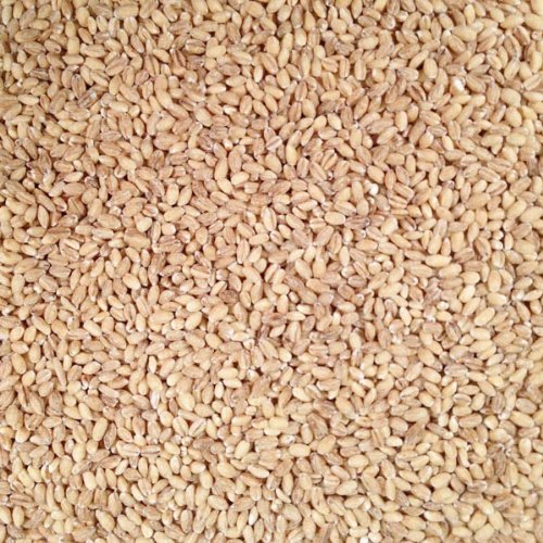 Grain Place Foods | Non-GMO Organic Hulled Barley | Made in USA | 25 lb Bag