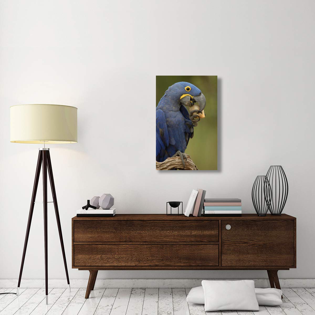 Hyacinth Macaw In Cerrado Habitat Eating Piassava Palm Nuts, Brazil-Canvas Art-24''X36''