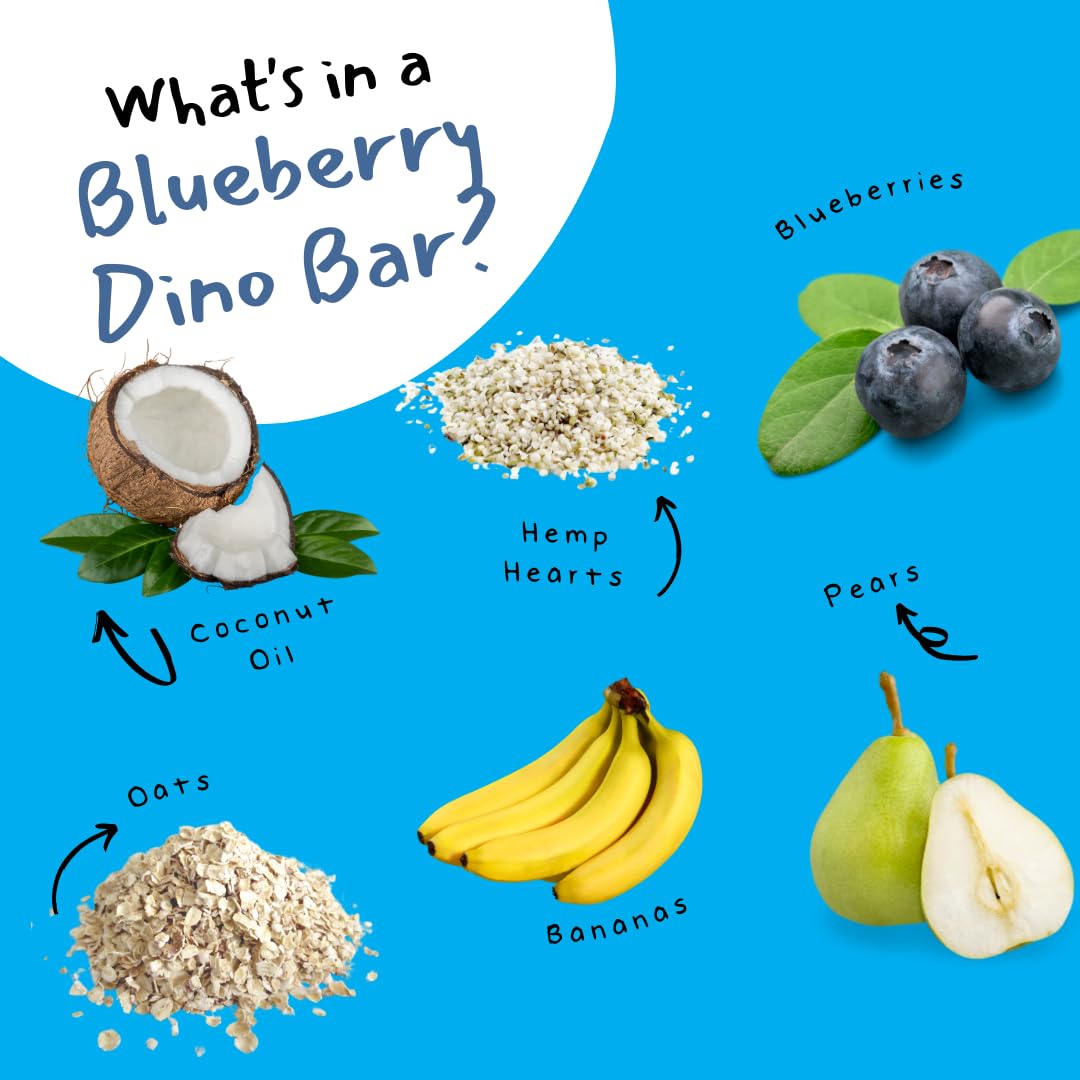 DINO BARS Organic Fruit Bar for Kids, Blueberry Flavor, 30 Count, Made with Fruit, Oats, Hemp Hearts, Coconut Oil