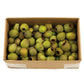 Vickerman Bellgum Pods Bulk  Basil 2Lb Case - H1Blg100