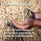 Don Memo Coffee Honduras Single-Origin Dark Roast Coffee Beans, Low Acid, Whole Bean, 12 oz