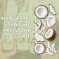 Coco Joy Coconut Water, Nutrient-Rich Drink, Low-Calorie, 34 Fl Oz (Pack of 6)
