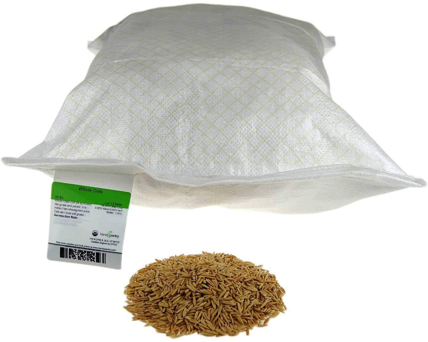 25 Lb Bulk Non-GMO Organic Whole Oat Groats (w/Husk) - Gluten Free Organic Oats - Whole Oats Organic for Sprouts, Steel Cut Oats