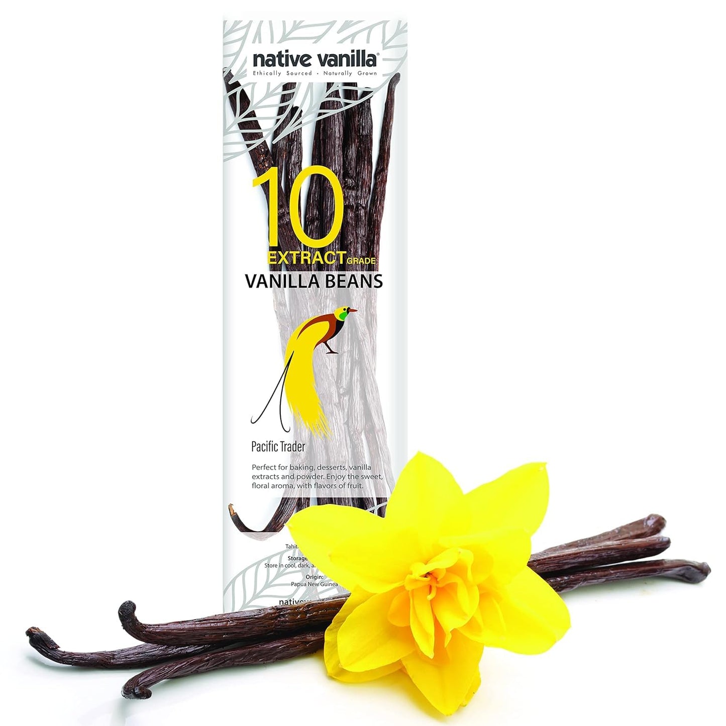 Native Vanilla Tahitian Vanilla Beans - Premium Grade B Whole Pods - 10 Count - Vegan, Non-GMO, Gluten-Free - Rich Creamy Flavor