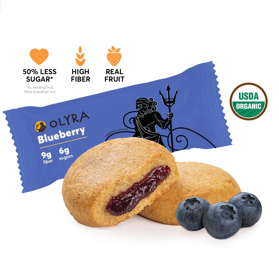 Olyra Blueberry Fruit Bars, Organic Vegan Snack, Low Sugar, Pack of 24