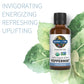 Garden Of Life Essential Oil, Peppermint 0.5 Fl Oz (15 Ml), 100% Usda Organic & Pure, Undiluted & Non-Gmo - For Diffuser, Aromat