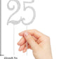 Hatcher Lee 25th Birthday Cake Topper - Bling Crystal Metal Decoration, Silver, Model HCL-308