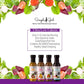 Simple Girl Organic Salad Dressing Variety - Sweet Vinaigrette, Balsamic Vinaigrette, Sweet Mustard And Citrus Ginger - Sugar Free Dressings, Low/No Carb, Fat Free, Diabetic, Gluten Free, Vegan, Paleo, And Keto Friendly - 4 Pack (12 Fl Ounce Each)
