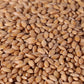 Organic Einkorn Wheat Berries - 3Lbs
