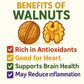 Crazy Nuts | California Grown Whole Walnuts In Shell, 1lb | Raw Walnuts Whole Bulk, Nuts in Shells for Squirrels