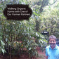 Bird'S Eye Chili Powder-Organic And Fair Trade-African Bird Chili (1)