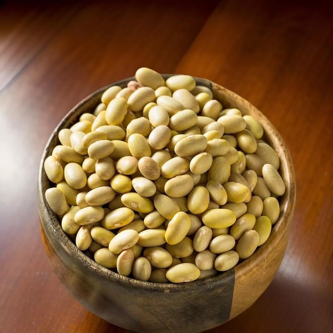 Mayocoba Peruano Dry Beans Frijoles | Bulk (1 Pound)