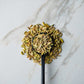Savory Spice Fennel Seeds - Whole Fennel Seeds for Cooking & Baking | Add Fennel Seed to Sauces & Curries - Use for Tea or Seaso