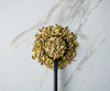 Savory Spice Fennel Seeds - Whole Fennel Seeds for Cooking & Baking | Add Fennel Seed to Sauces & Curries - Use for Tea or Seaso