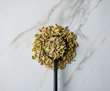 Savory Spice Fennel Seeds - Whole Fennel Seeds for Cooking & Baking | Add Fennel Seed to Sauces & Curries - Use for Tea or Seaso