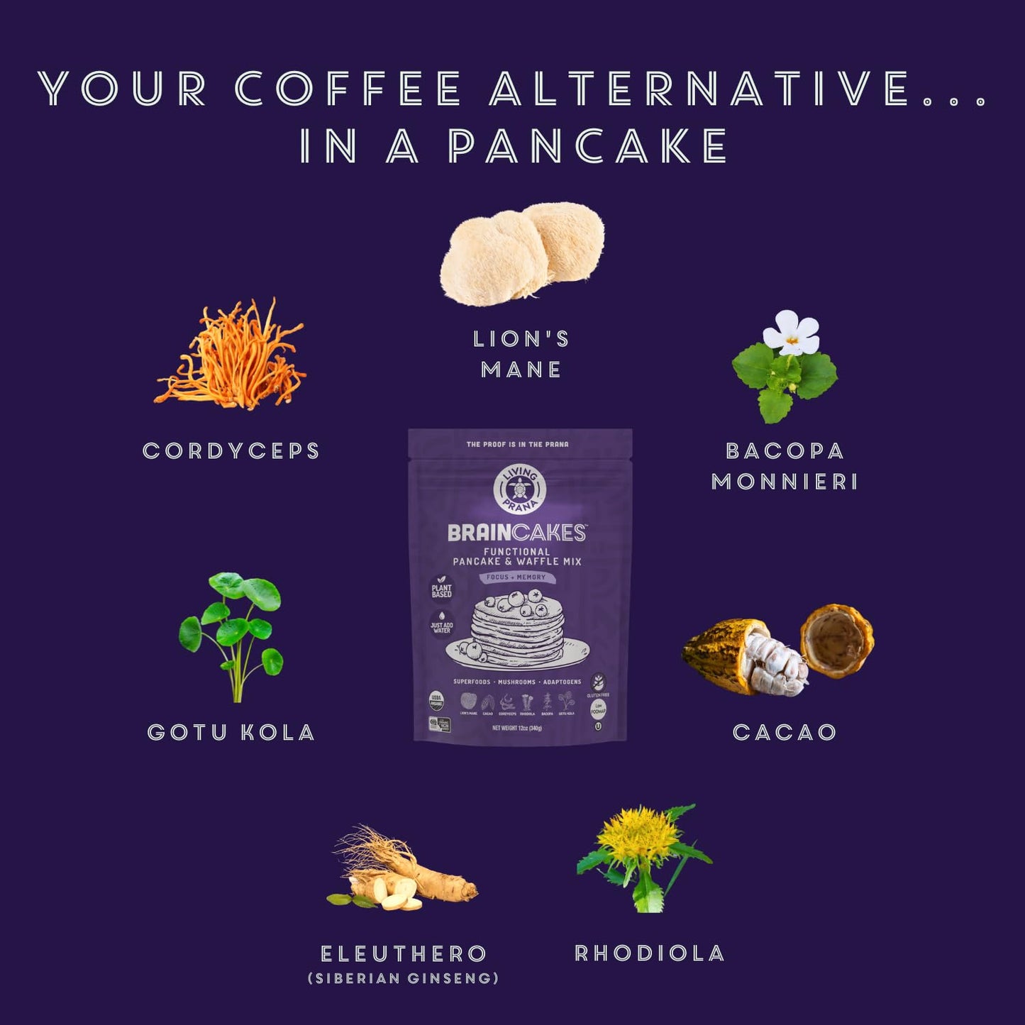 BrainCakes Superfood Organic Pancake & Waffle Mix Gluten Free | Memory, Focus & Stress Support | Just-Add-Water | By LIVING PRAN
