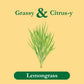 Tadin Lemongrass Herbal Tea, Caffeine Free, 24 Tea Bags, Pack of 6, 6PK-TB322