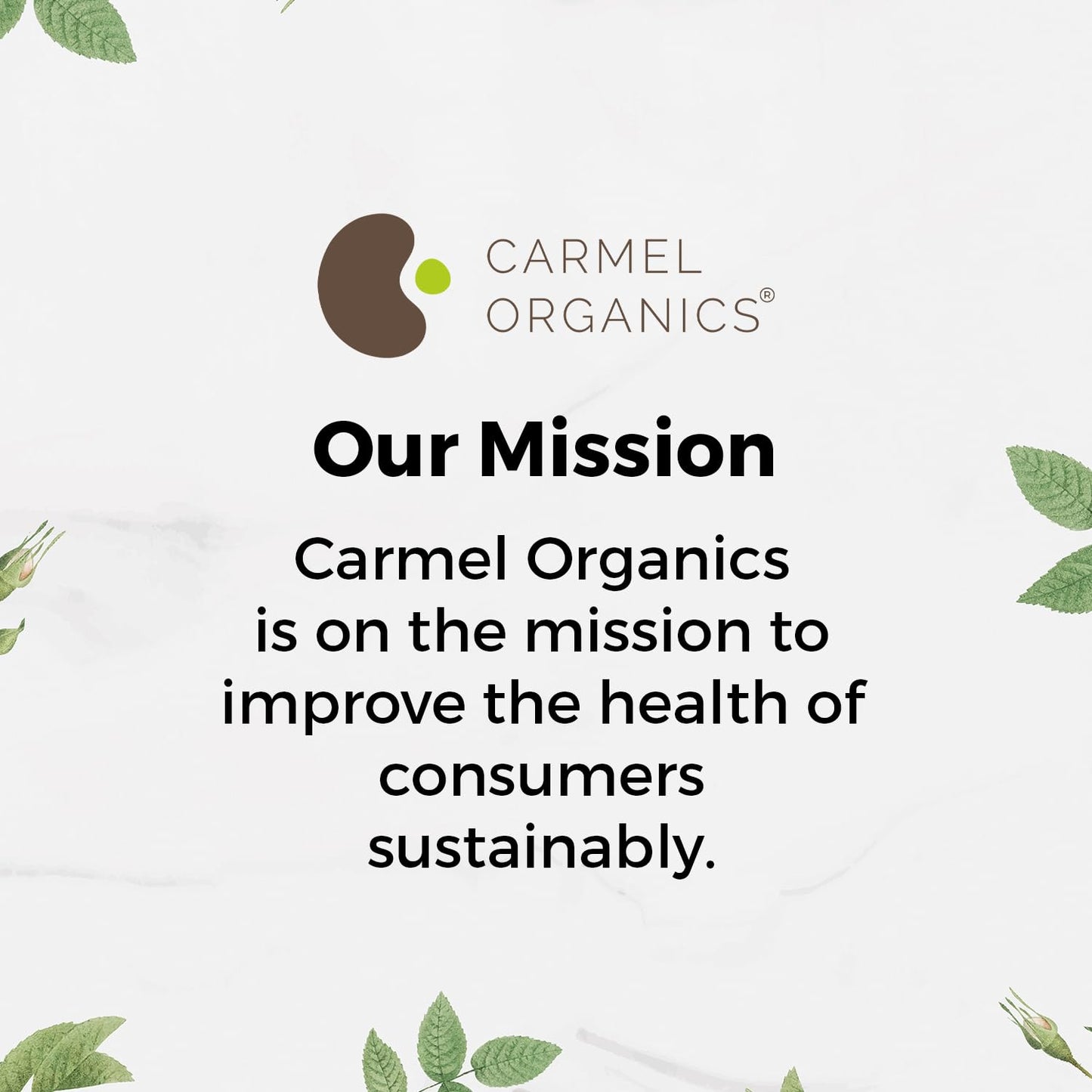 CARMEL ORGANICS Organic Fenugreek Powder, 24 Ounce (1.5 Lb)