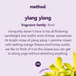 Method Daily Shower Spray Cleaner, Ylang Ylang, 28 Ounce, 2 Pack, Packaging May Vary