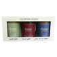 Cloister Honey Trios - Tea Lovers (3 x 3 oz) | Hand Crafted | Raw Artisan Honey | 100% Pure, Raw & Unfiltered | All Natural | Ma