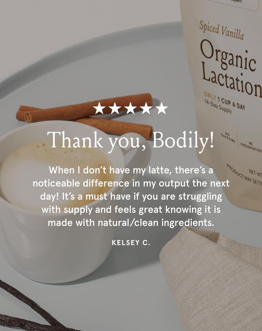 Bodily Organic Lactation Latte Powder - Spiced Vanilla Flavor - Daily Lactation Drinks for Breastfeeding and Pumping - Breastfeeding Moms & Increase Milk Supply - 14.67 oz (14 Servings)