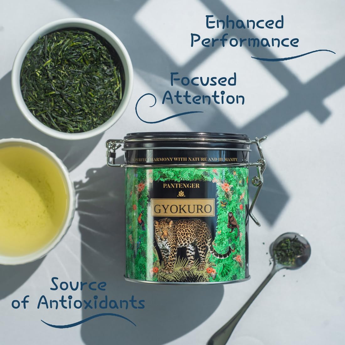 Organic Gyokuro Loose Leaf Green Tea - 3 OZ - Shaded First Flush | USDA & JAS Organic by Pantenger
