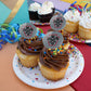 Mansfield University Secondary Logo Cupcake Picks Toppers Decoration Set Of 6