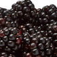 Fresh Blackberries, 6 Oz Container