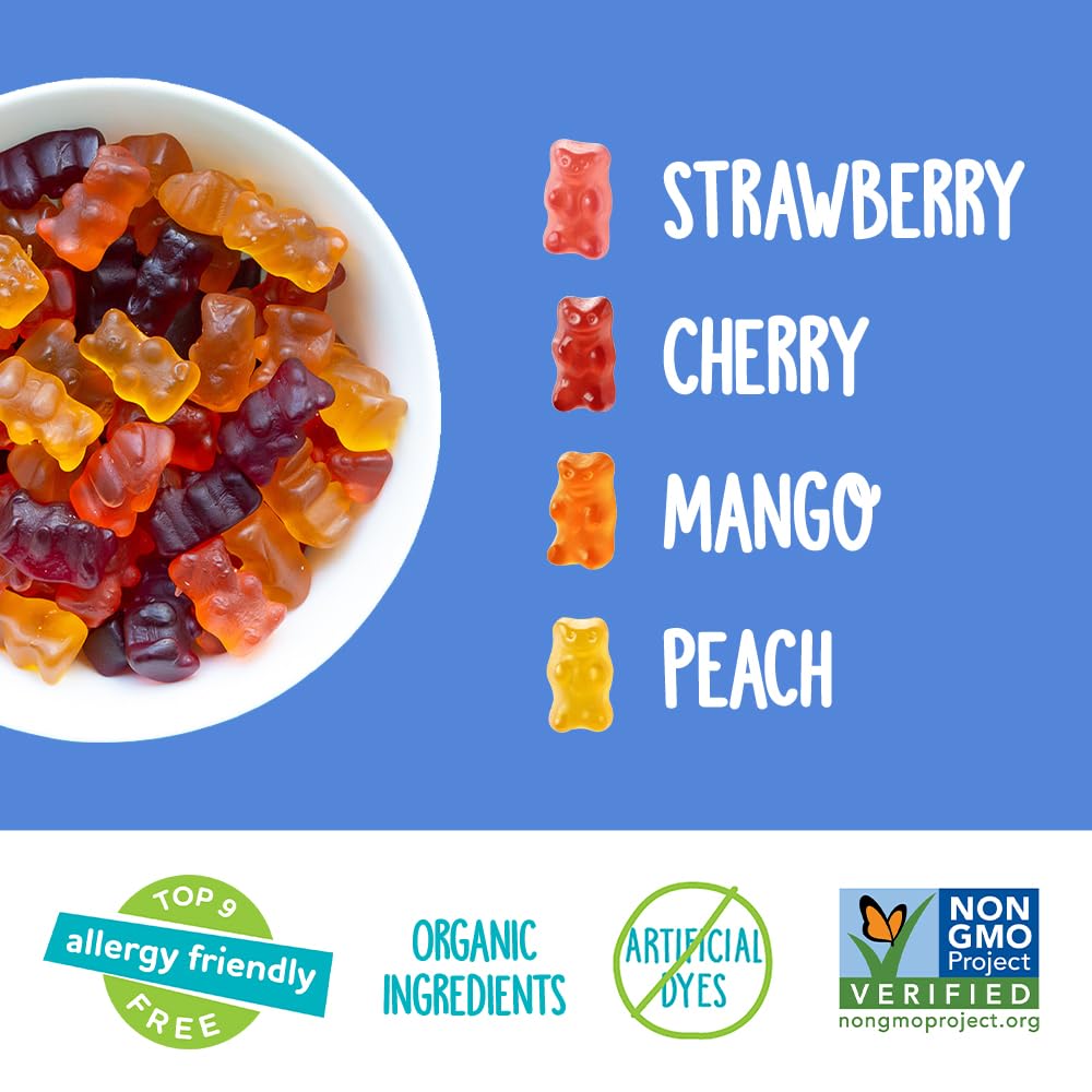 YumEarth Gummy Bears, Assorted Flavors, 10 Snack Packs Per Bag (Pack of 12)