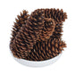 Vickerman 9.5-10 Sugar Pinecone 7/Pack. Includes Seven Sugar pinecones per Bunch. Natural Product.