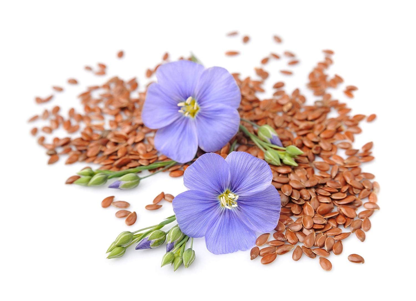 Food to Live Organic Brown Flaxseed Meal, 2 Pounds - Non-GMO, Kosher, Cold-Milled from Raw Whole Seeds, Pure Powder, Vegan Super