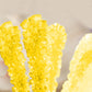 Extra Large Rock Candy Sticks: 48 Banana Lollipop - Yellow Rock Candy Sticks - Individually Wrapped - Espeez Rock Candy Sticks For Candy Buffet, Birthdays, Weddings, Receptions And Baby Shower