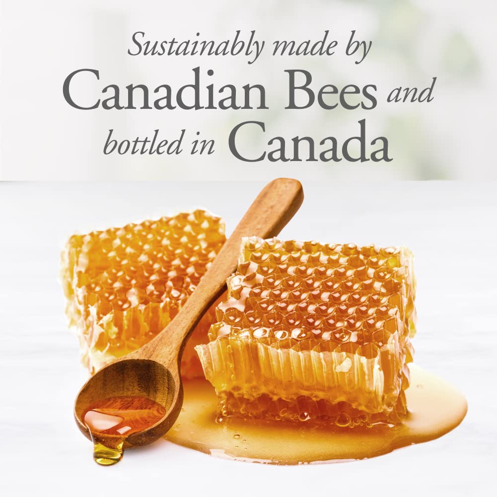 Dutchman'S Gold Raw Honey 6.6 Lbs - Unfiltered - Non-Pasteurized - Kosher
