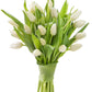 KaBloom Flowers -Valentine's Day Collection - 10 White Tulips without vase, Gift for Birthday, Sympathy, Anniversary, Get Well, 