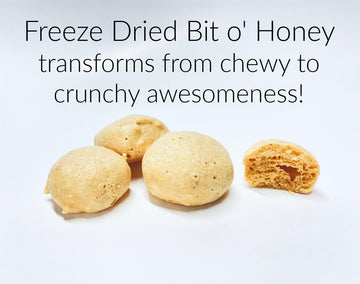 Freeze Dried Candy Bit O' Honey (4 Oz Bag) - Shipped In A Box
