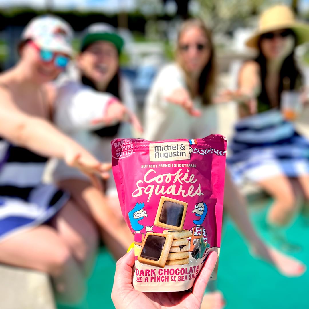 Michel et Augustin Gourmet Chocolate Cookie Squares | Dark Chocolate & Sea Salt | Individually Wrapped European Cookies | 15 Fre