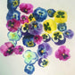 CHOCKACAKE Edible Wafer Flowers for Cake Decorating, Sunflowers, 28pcs, Paper