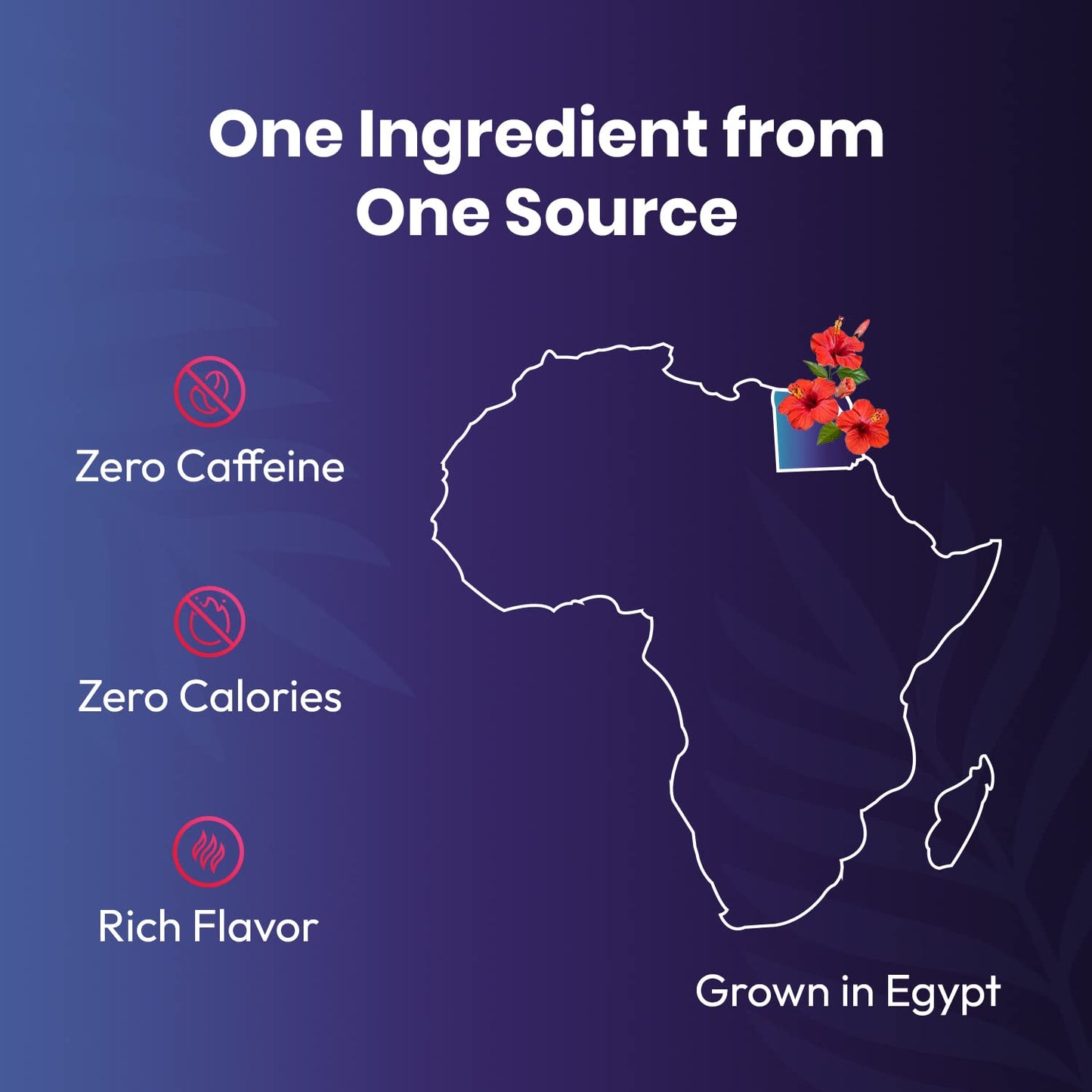Cederberg Organic Hibiscus Tea - 100 Tea Bags, Eco-Friendly, Non-GMO, Caffeine-Free, Zero Sugar