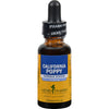California Poppy Extract 1 Oz Tincture ( Multi-Pack)