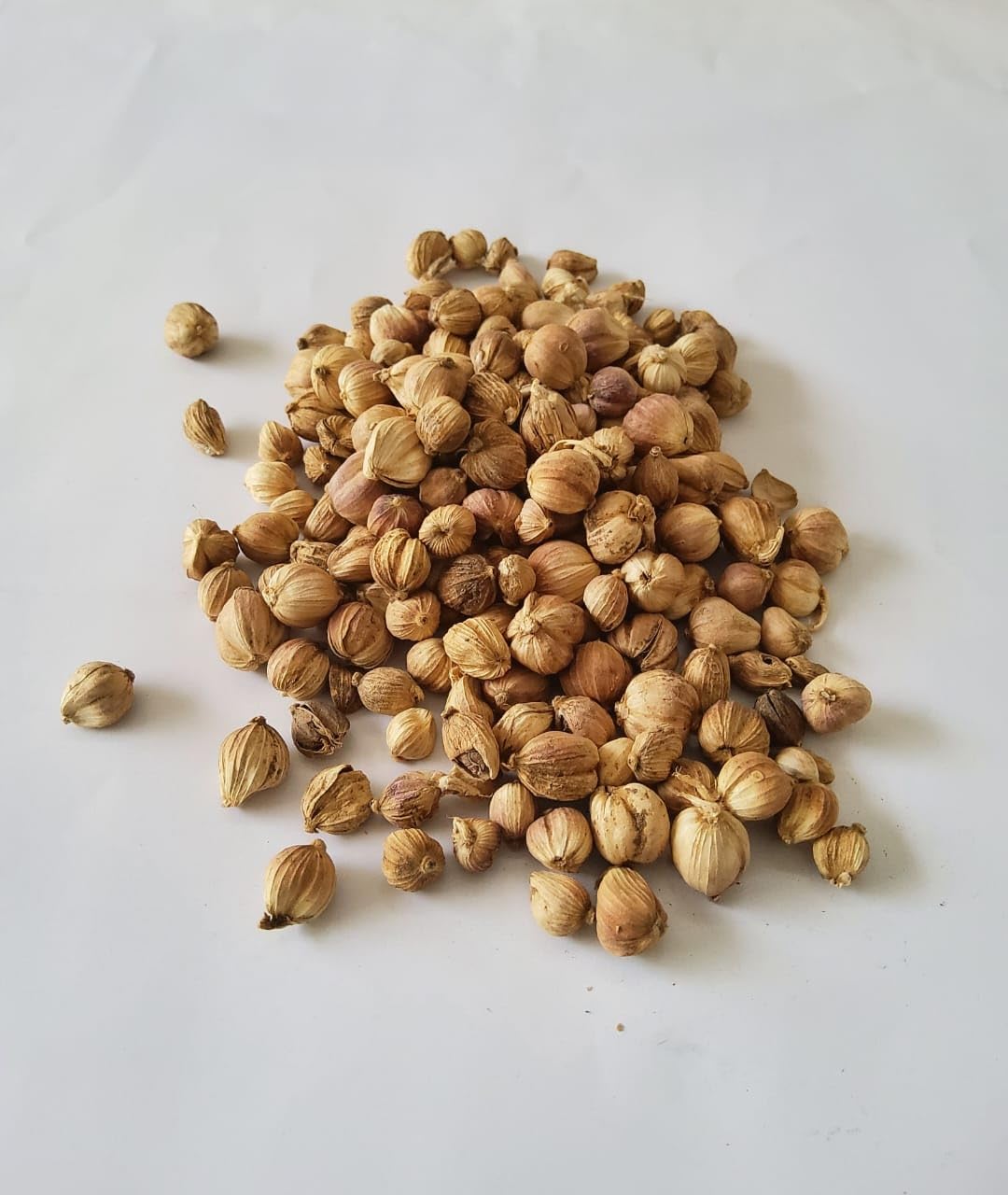 Generic Wholesale dried cardamom 100% organic