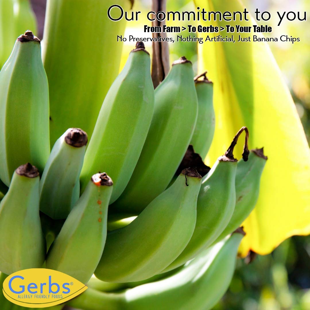 Gerbs Unsweetened Banana Chips 14 oz. | Unsulfured, No Additives, Resealable Bag | Naturally Crisp & Mildly Sweet | Top 14 Aller