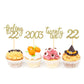 24Pcs Feeling 22 Cupcake Toppers, Twenty Two Birthday Cake Decorations, Cheer To 22 Years Old Theme Party Decoration Supplies (G