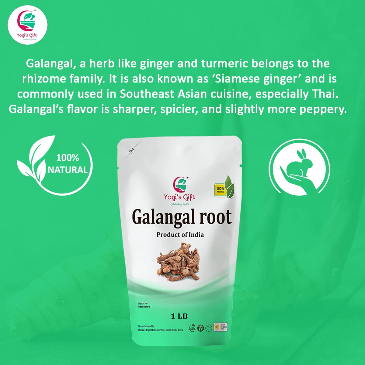 Dried Galangal Root 1Lb | Whole Root (Not Slices) | Alpinia Galangal | Ads Wonderful Flavour And Aroma To Soups | By Yogis Gift